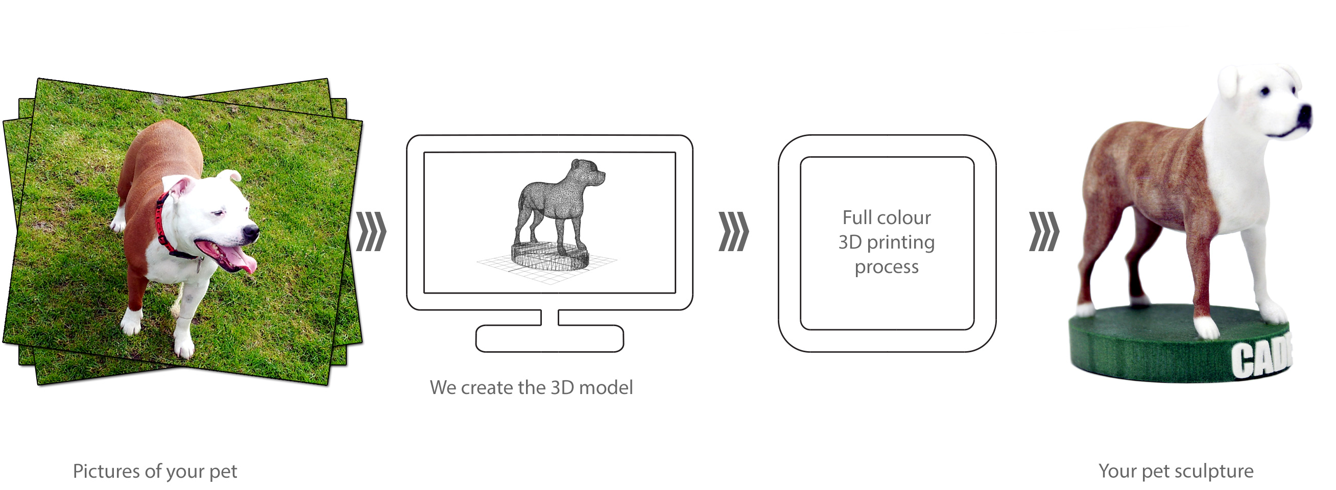 Labrador sculpture process from photos to 3D printed sculpture